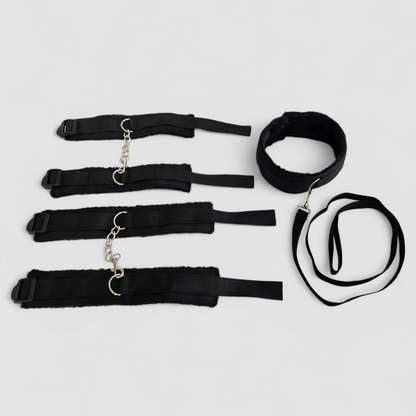 Adonix Control & Trust Set